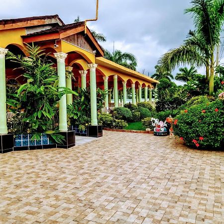 Chateau Margarita Montego Bay Exterior foto